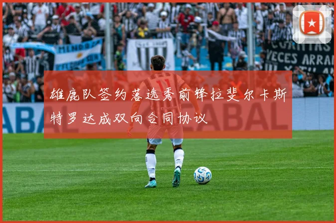 雄鹿队签约落选秀前锋拉斐尔卡斯特罗达成双向合同协议